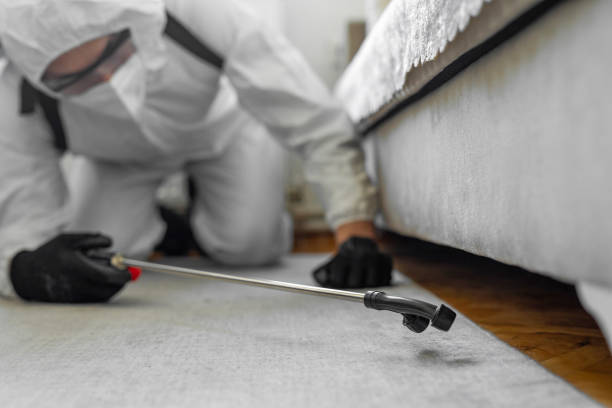 Professional Cockroach Control technician working in Little Falls, NY