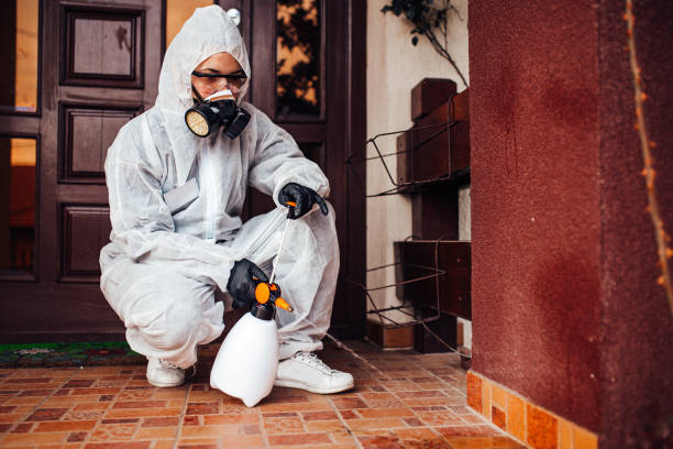 Reliable Cockroach Control contractor in Little Falls, NY by Nex Pest Control